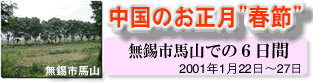 中国の正月”春節”